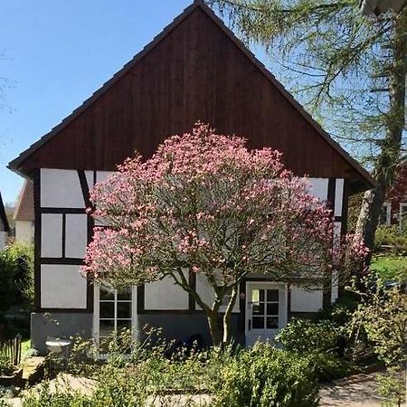 Gemuetliches Ferienhaus Im Extertal/ Lippe Екстериор снимка