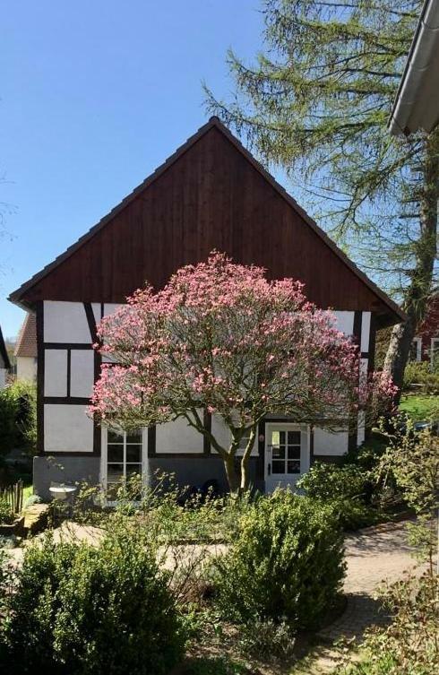 Gemuetliches Ferienhaus Im Extertal/ Lippe Екстериор снимка