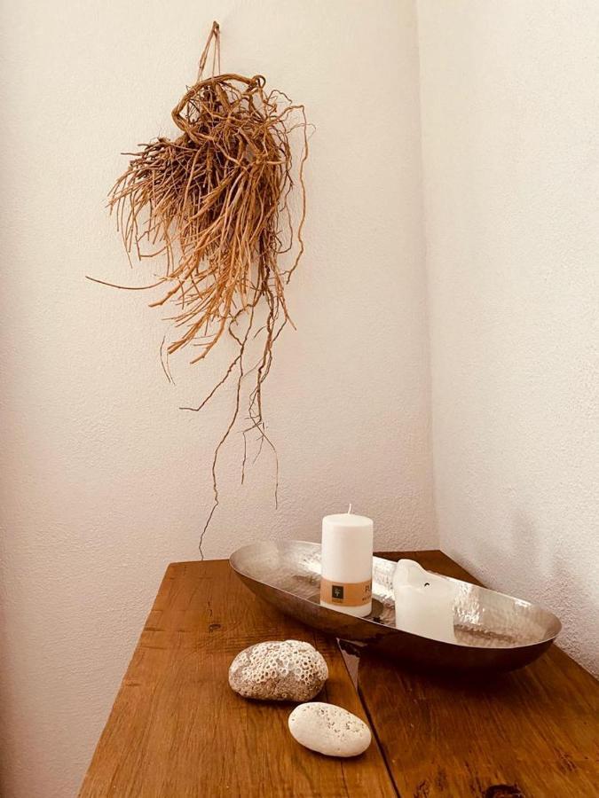 Gemuetliches Ferienhaus Im Extertal/ Lippe Екстериор снимка