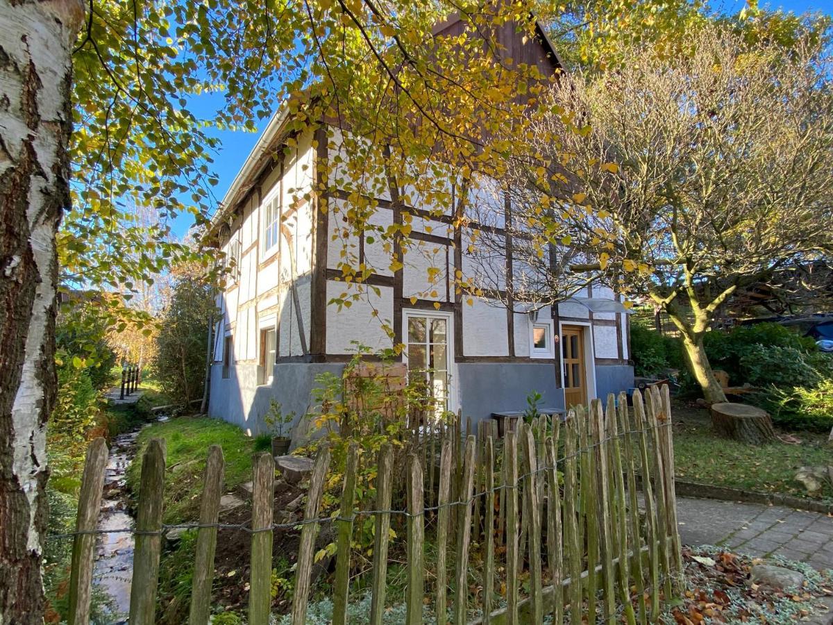 Gemuetliches Ferienhaus Im Extertal/ Lippe Екстериор снимка