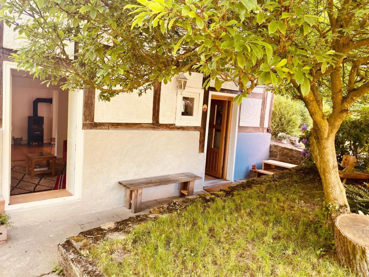 Gemuetliches Ferienhaus Im Extertal/ Lippe Екстериор снимка