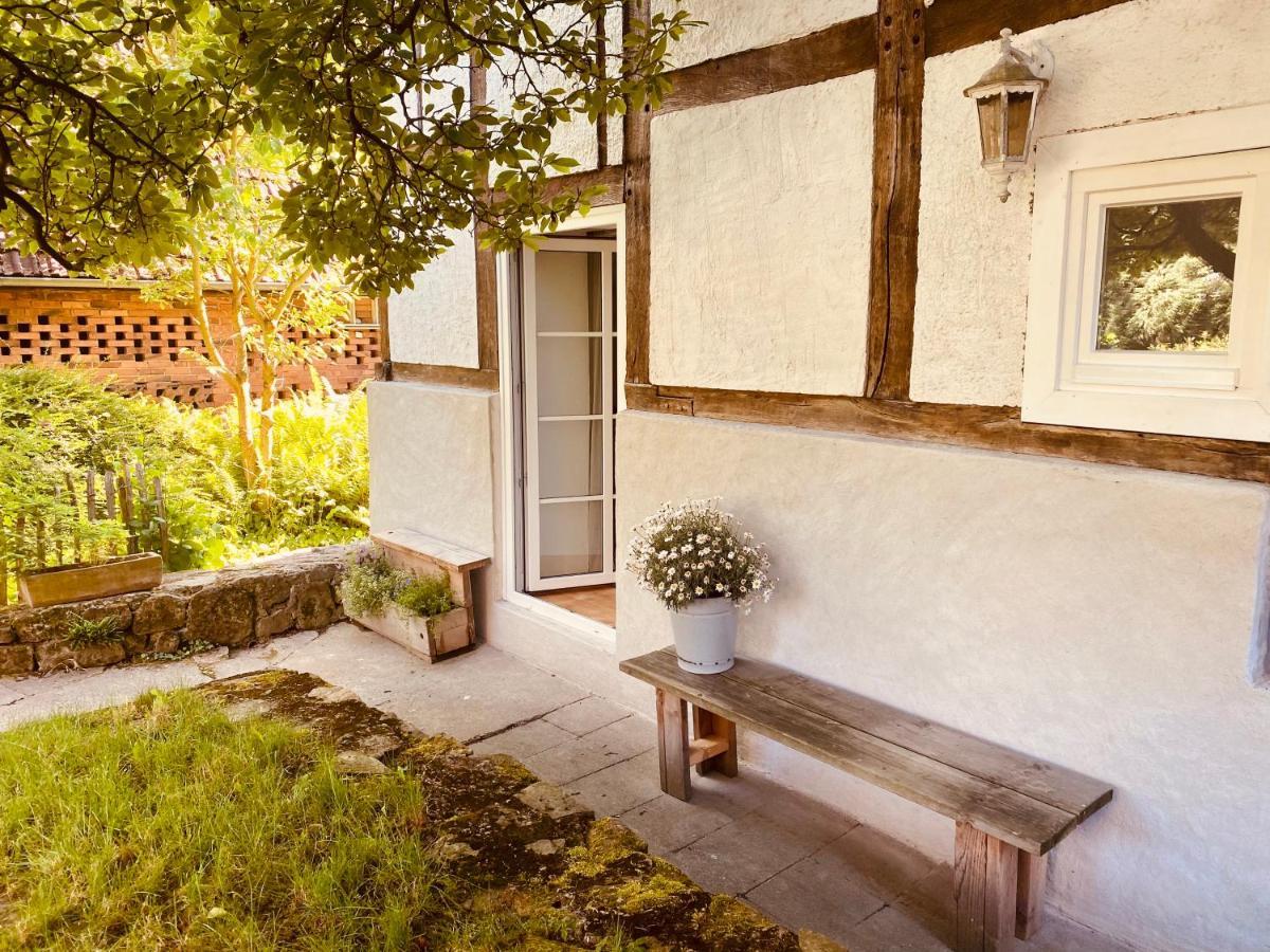 Gemuetliches Ferienhaus Im Extertal/ Lippe Екстериор снимка
